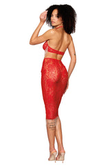 Corded Lace Bra and Slip Skirt Set