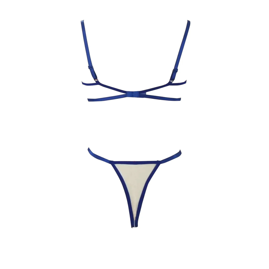 Fiora Embroidery Mesh Underwire Lingerie Set