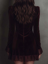 Burgundy Velvet Lace-trimmed V-neck Mini Dress