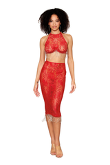 Corded Lace Bra and Slip Skirt Set